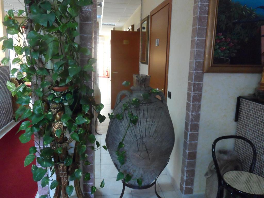 Fiumefreddo Hotel Fiumefreddo di Sicilia Ngoại thất bức ảnh
